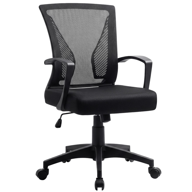Lacoo Mid-Back Ergonomic Mesh Office Chair, Black photo 2