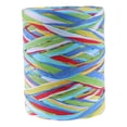 thumbnail image 1 of EeaseCA Stylish 6-color Raffia Rope DIY Woven Gift Paper Wrapping Rope DIY Handmade Home Living Room Wedding Decoration, 1 of 8