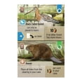 thumbnail image 3 of Forest Shuffle: Dartmoor Family Strategy Board Game for Ages 10+, from Asmodee, 3 of 5