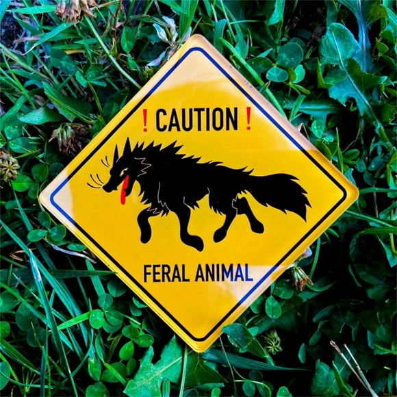 WIFKLSIIPG Outdoor Aluminum Warning Sign Metal Sign Crossroad Sign Engineering Grade Reflective Aluminum Yellow Background Black Letter(Yellow)