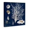thumbnail image 2 of Stupell Industries Coastal Coral Medley on Navy Canvas Art, 36 x 36, by Lanie Loreth, 2 of 8