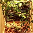 thumbnail image 4 of Lizards Jungle Climber Flexible Bendable Artificial Plant Terrarium Branch Reptile Vines Fake Rattan 3M A, 4 of 8