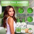 thumbnail image 3 of Set de champú y acondicionador Naturavis Tea Tree Oil Mint, 3 of 8
