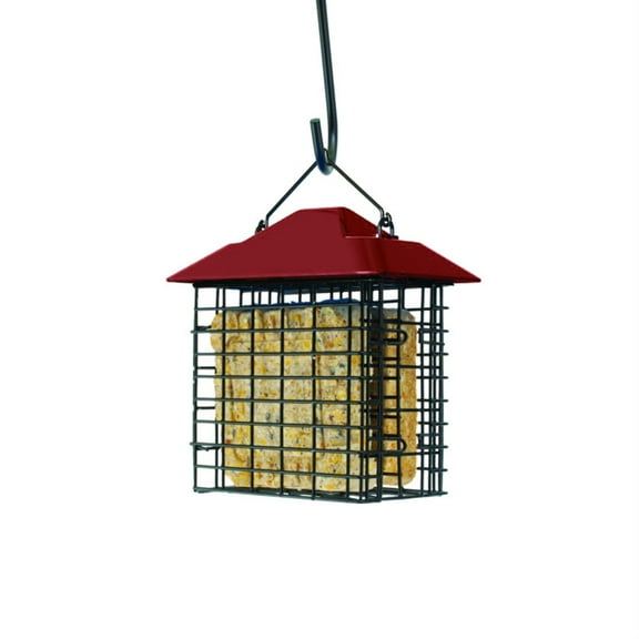 DOUBLE SUET CAGE (Pack of 1)