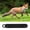 Black, variant on BVCL Outdoor Foxes Call Whistles Call Wild Animals Cats Field Easy Calling Rabbits Game