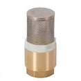 thumbnail image 4 of tooloflife Brass Foot Valve 1 Inch BSP Female Thread with Filter Gold, 4 of 5