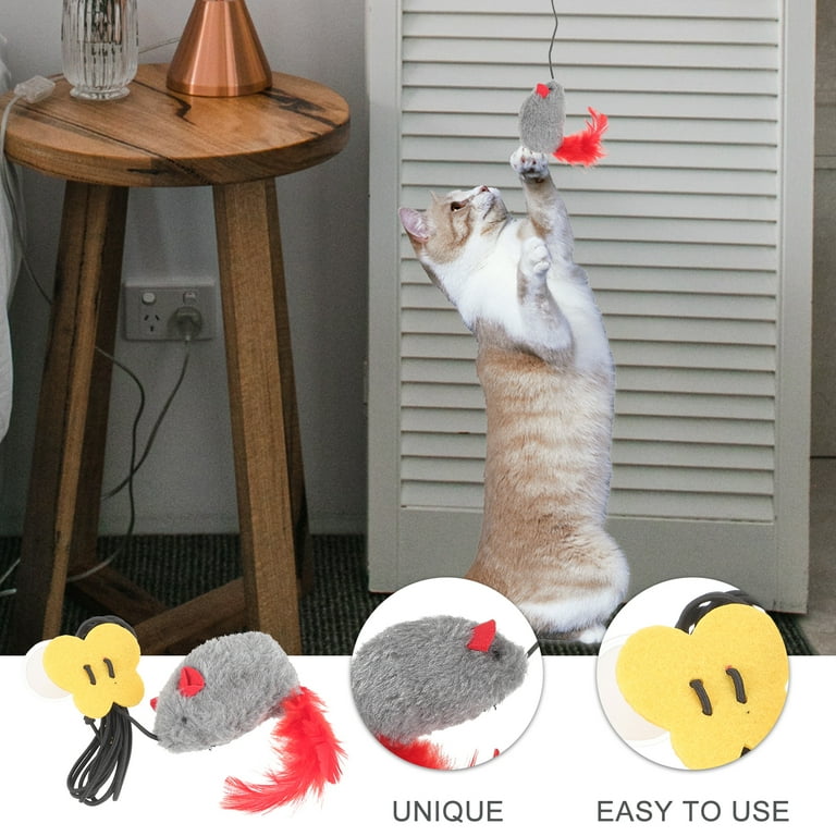 Door cat toy outlet