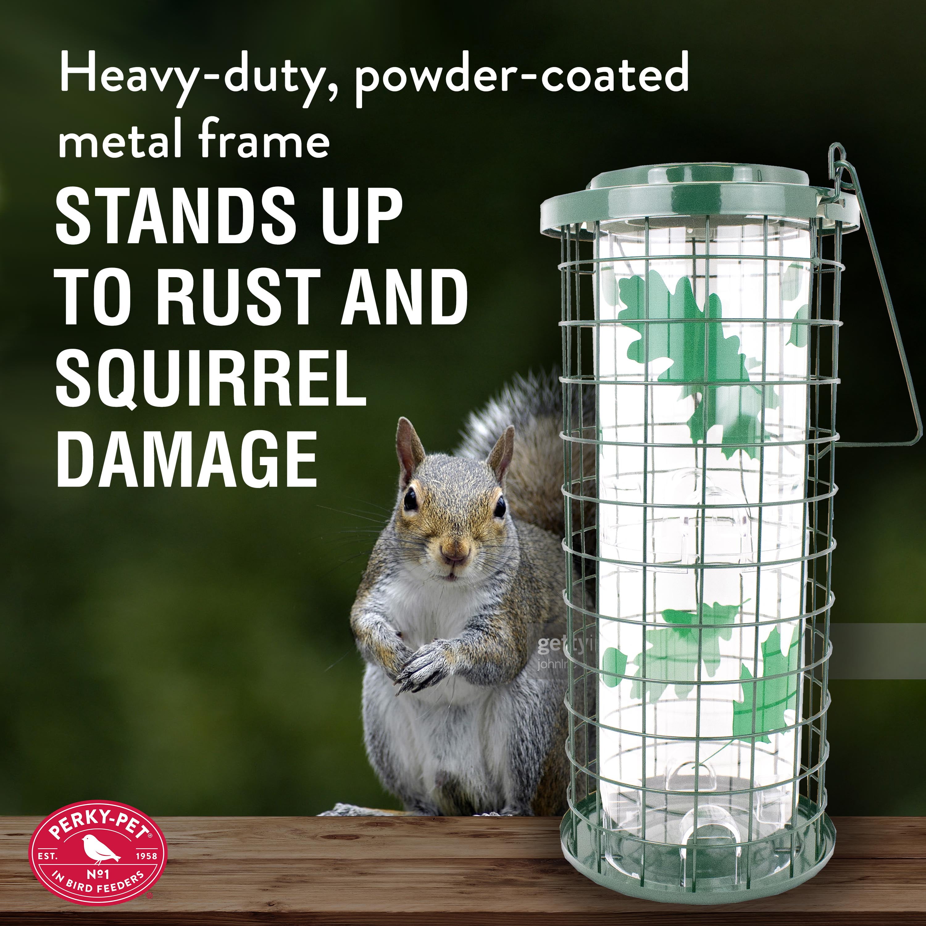 Perky-Pet Squirrel Stumper Bird Feeder - 3 lb Capacity