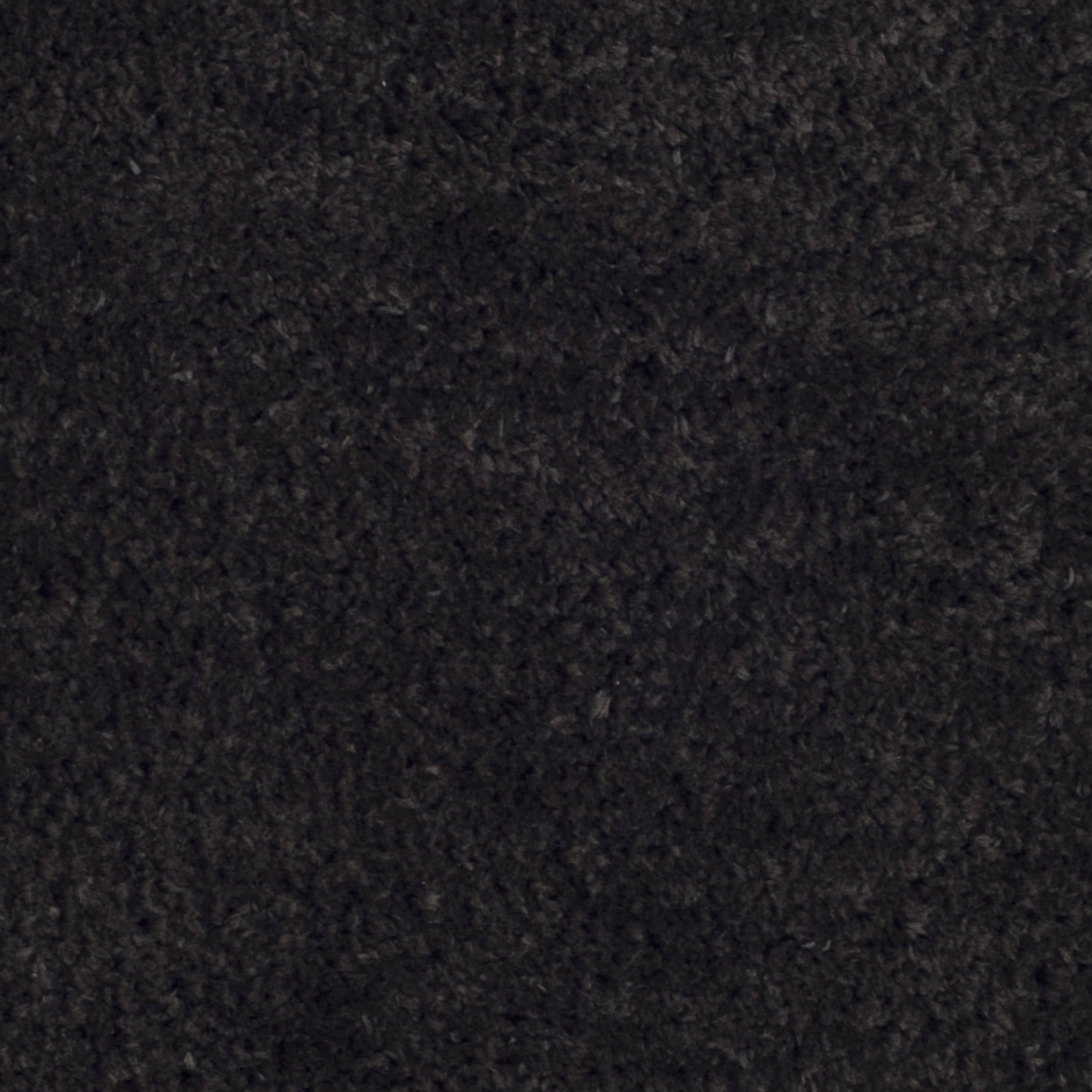 SAFAVIEH Sybella Solid Plush Polyester Sheep Shag Area Rug, Charcoal, 4' x 6'