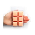 thumbnail image 5 of Wax Melts Shortie's Candle Company Autumn Splendor, 90 ml, 5 of 5