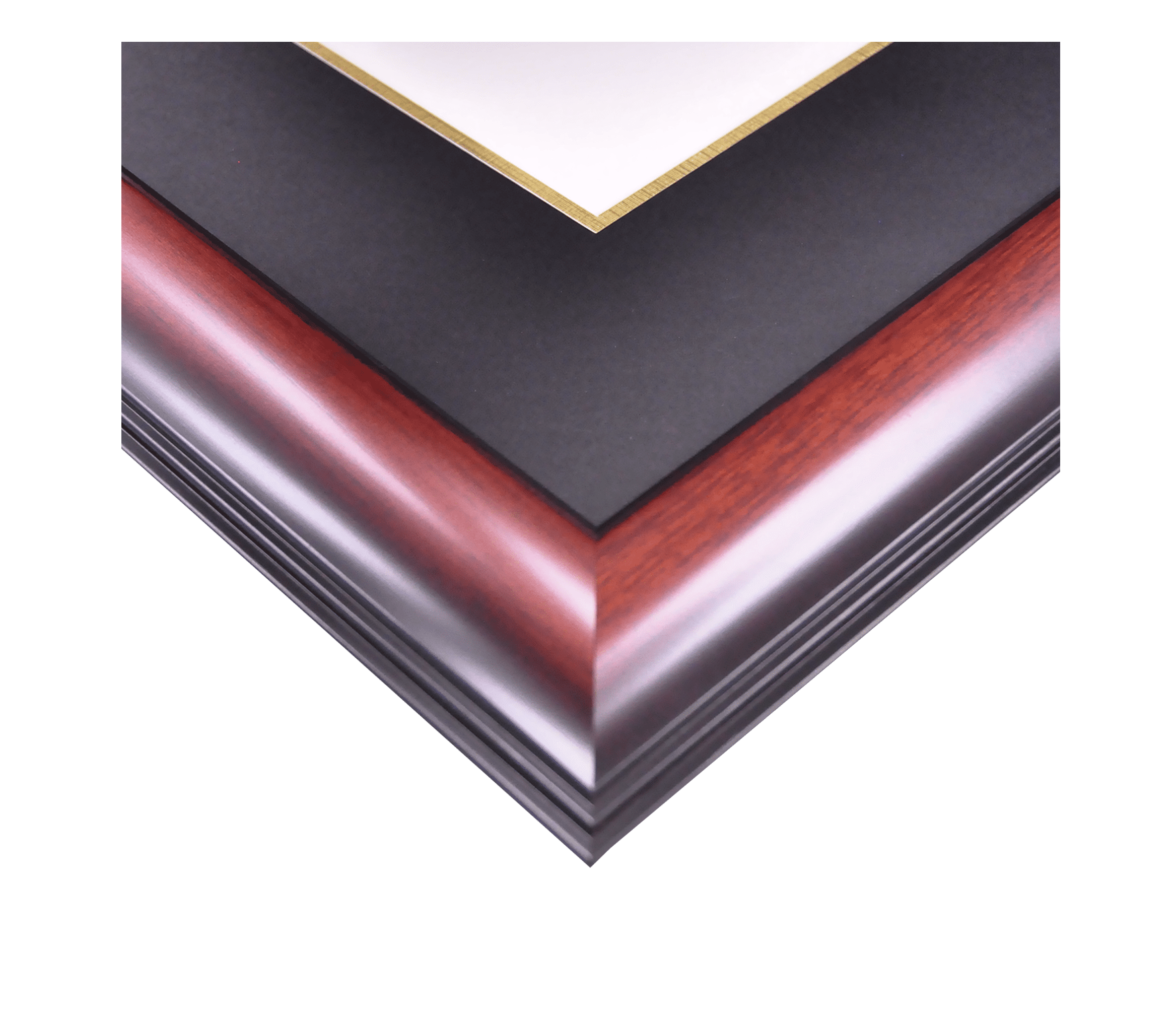 11.5 x 16 Gold Campus Images FL994LGED University of Florida Embossed Diploma Frame with Lithograph Print