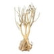 thumbnail image 1 of Acuario Tronco de madera flotante Árbol Micro Paisaje Ramas Hábitat Decoración Pecera 25-30 CM, 1 of 9