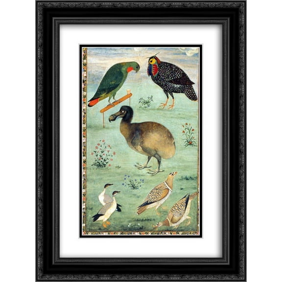 Ustad Mansur 2x Matted 18x24 Black Ornate Framed Art Print 'Untitled (Dodo)'