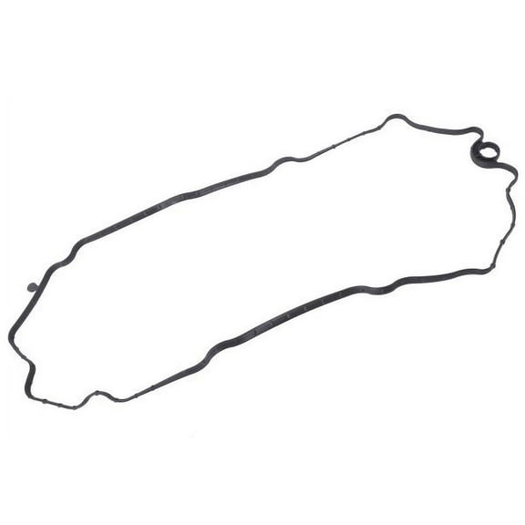 Engine Block Valley Cover