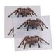 thumbnail image 1 of 2 piezas transparente mate pegatinas acuario pared fondo Jinwen Vinilo decorativo reptil, 1 of 8