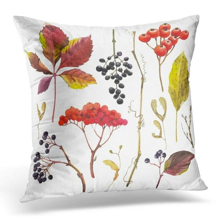 Bsdhome Watercolor With Branches Leaves And Berries Of Winter And Autumn Forest Plants Collection Herbarium Pillow Case Pillow Cover 20x20 Inch Walmart Canada