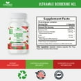 thumbnail image 3 of Sundhed Natural Ultramax Berberine HCL with Ceylon Cinnamon, Hydrochloride Supplement Capsules, 3 of 6
