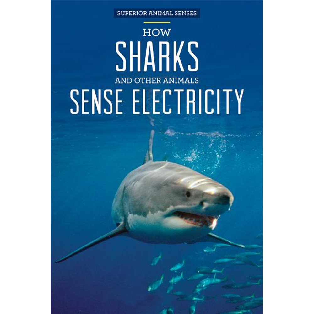 How Sharks and Other Animals Sense Electricity - Walmart.com - Walmart.com