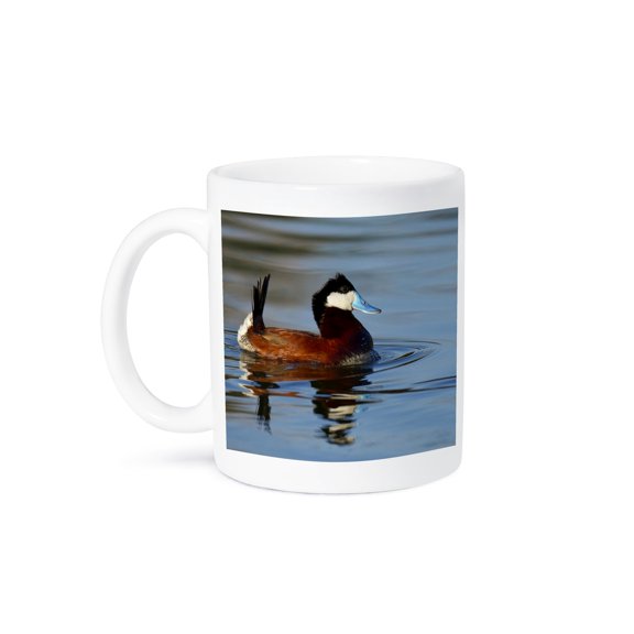 3dRose, Male Ruddy duck, Henderson, Nevada - US29 MPR0067 - Maresa Pryor, 15oz Mug