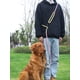 thumbnail image 2 of Correa Larga De Perros Cuerda Seguridad Para Entrenamiento, 2 of 7