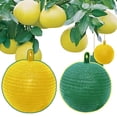 thumbnail image 2 of Fly Ball Traps Insects Fruit Flies Trap Reusable Hanging Fruit Fly Trap Bal Mosquito Repellent Anti Mosquito, 2 of 8