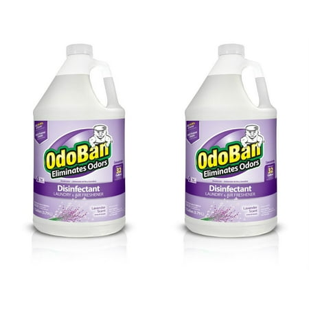 OdoBan Odor Eliminator and Disinfectant Concentrate, Lavender (2 (Best Body Odor Eliminator)