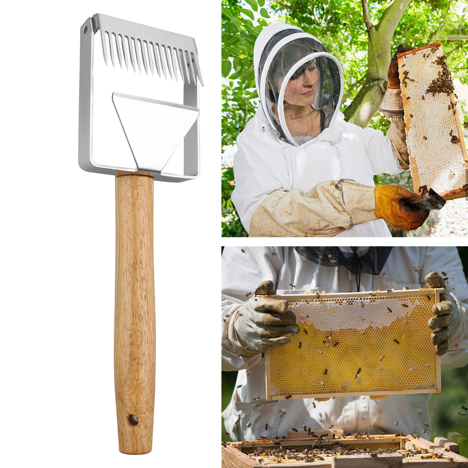 1 X NEW Bee Honey Shovel\Scraper Hive Tool Beekeeping Equipment US Seller