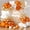 Orange and Gold, variant on Carnival Circus Balloons Garland Arch Kit for 164pcs Red Blue Yellow Rainbow Multicolor with Confetti Balloons for Carnival Theme Birthday Party Decorations