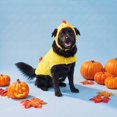 thumbnail image 2 of Vibrant Life Halloween Chicken Costume for Dogs, Yellow and Red, L, 2 of 6