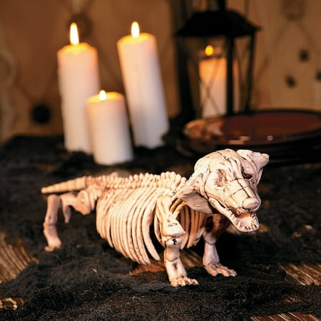 Dachshund Decorative Accessories Fun Express - Halloween Dachshund Skeleton for Halloween - Home Decor - Decorative Accessories - Home Accents - Halloween - 1 Piece ()