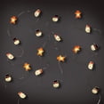 thumbnail image 2 of Cadena de luces LED decorativas para celebraciones, 1,9 m, color blanco cálido, 2 of 5