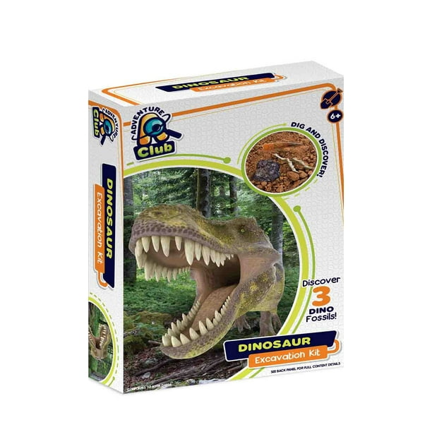 excavation kit dinosaur 3d