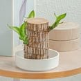 thumbnail image 3 of Zoyueyie 2pcs Durable Ceramic Flowerpot Saucer Round Plant Saucer Tray Garden Planter Case Tabletop Planter Saucer, 3 of 11