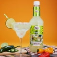 Master of Mixes Margarita / Daiquiri Drink Mixes Variety, Ready to Use