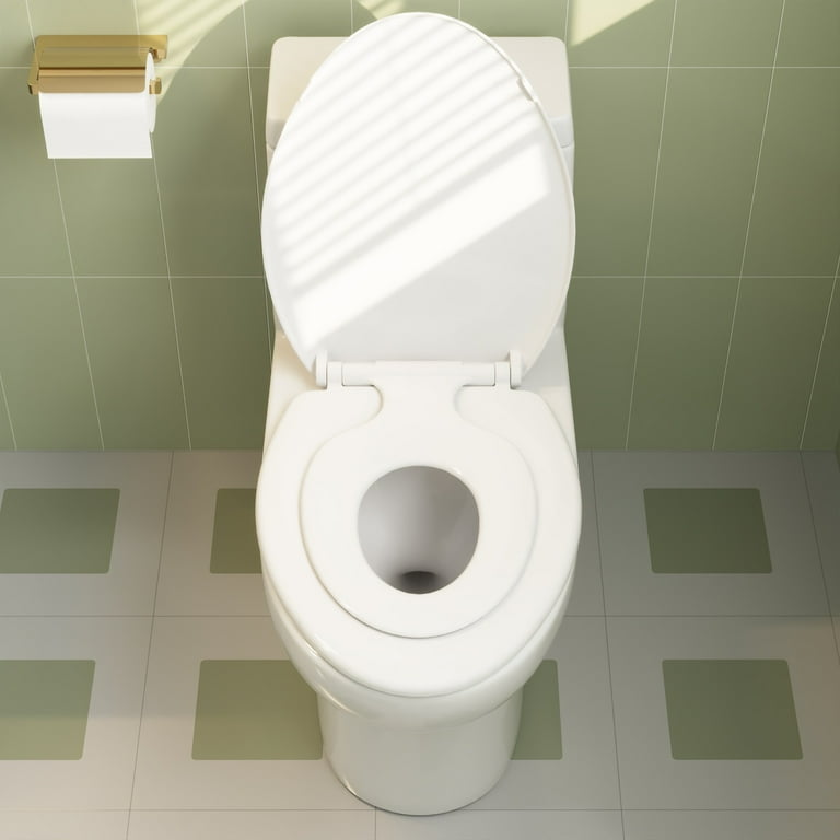 Ally 1-Piece 1.1/1.6 GPF Dual Flush Elongated ADA Comfort Height Toilet in Glossy White Seat Included Ally 1-Piece 1.1/1.6 GPF Dual Flush Elongated ADA Comfort Height Toilet in Glossy White Seat Included