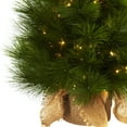 thumbnail image 3 of Nearly Natural 3 ft. Pre-lit Christmas Tree with Burlap Bag - Clear Lights, 3 of 7