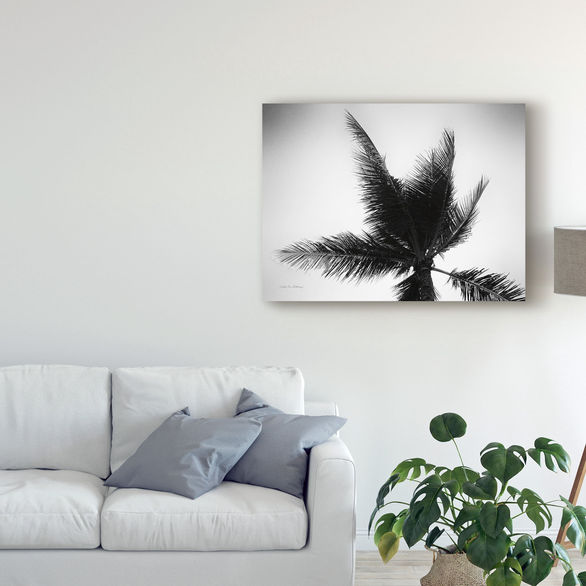 Trademark Fine Art 'Palm Tree Looking Up IV' Canvas Art by Debra Van Swearingen
