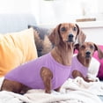 thumbnail image 7 of Kuoser Dog Shirt Vest Soft Breathable Dog Cat Clothes, Purple, XS, 7 of 7