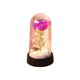 thumbnail image 1 of Regalos para las Mujeres Regalo de la Rosa Eterna para el Cumpleaños de las Mujeres Regalo para la Madre Rosa Encendida en Cúpula de Vidrio Regalo de la Rosa Eterna para el Día de la Madre Regalo de L, 1 of 6