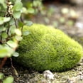 thumbnail image 6 of Moss Balls for Fish Tank on Sale Barhoo Moss Rocks Simulation Diy Artificial Decorative Stone Green Moss Home Decor Moss Stone Flocked Stone Clearance 1Pc Moss Stone Flocking Stone, 6 of 8