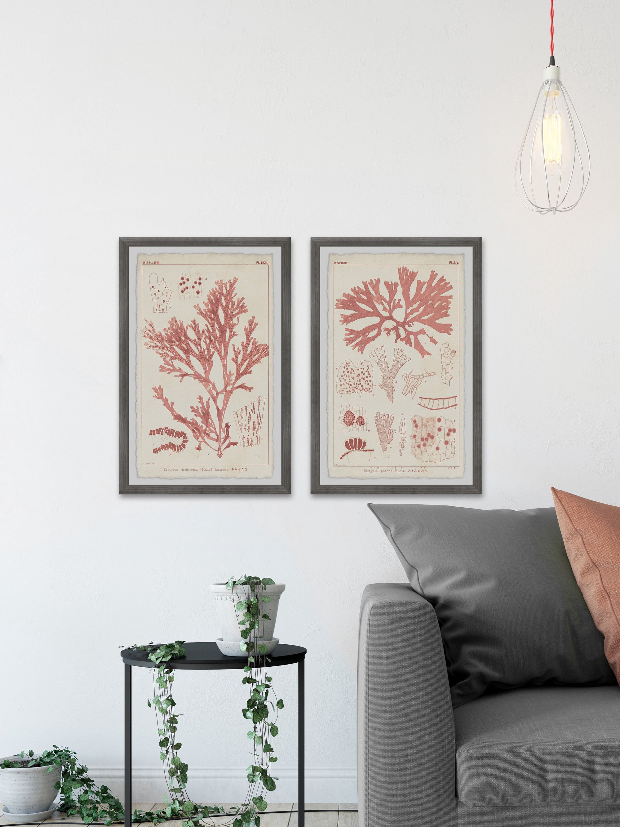 Marmont Hill Antique Coral Seaweed VIII Diptych