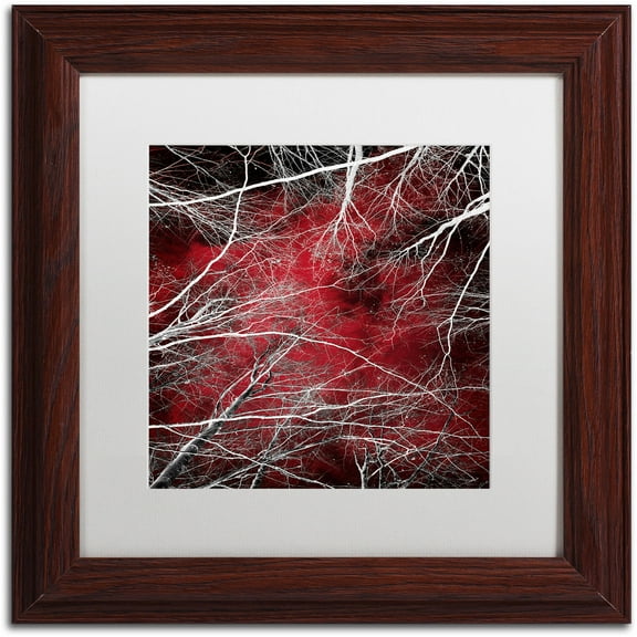 Trademark Fine Art "Fear" Canvas Art by Philippe Sainte-Laudy White Matte, Wood Frame