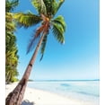 thumbnail image 3 of Ambesonne Beach Duvet Cover Sets, Exotic Palm Trees in Seashore, 2-King, Deep Sky Blue Olive Green, 3 of 3