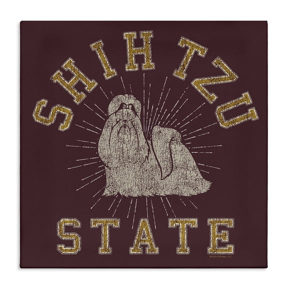 Stupell Industries Eclectic Canvas Art, 17 x 17, by Spirit Animals/Life Is High