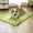 GN, variant on TopLLC Christmas Tree Ornaments, Christmas Decorations Bubble Fleece Pet Mat Winter Dog Mat Warm Thickened Cats Sleeping Mat Blanket Cats Litter Pet Dog Litter Warming Litter Pampering pads