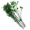 thumbnail image 1 of 1 Bag Real Pressed Dried Flower for DIY Craft Jewelry Making Handmade Resin Ornament - Green, 1 of 8