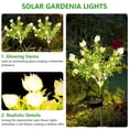 thumbnail image 5 of Syenll Solar Gardenia Lights Outdoor, 2 pack Decorative LED Solar Flower Lights, Waterproof Solar Pathway Lights for Yard Lawn Patio Decoration, Warm Light, 5 of 8