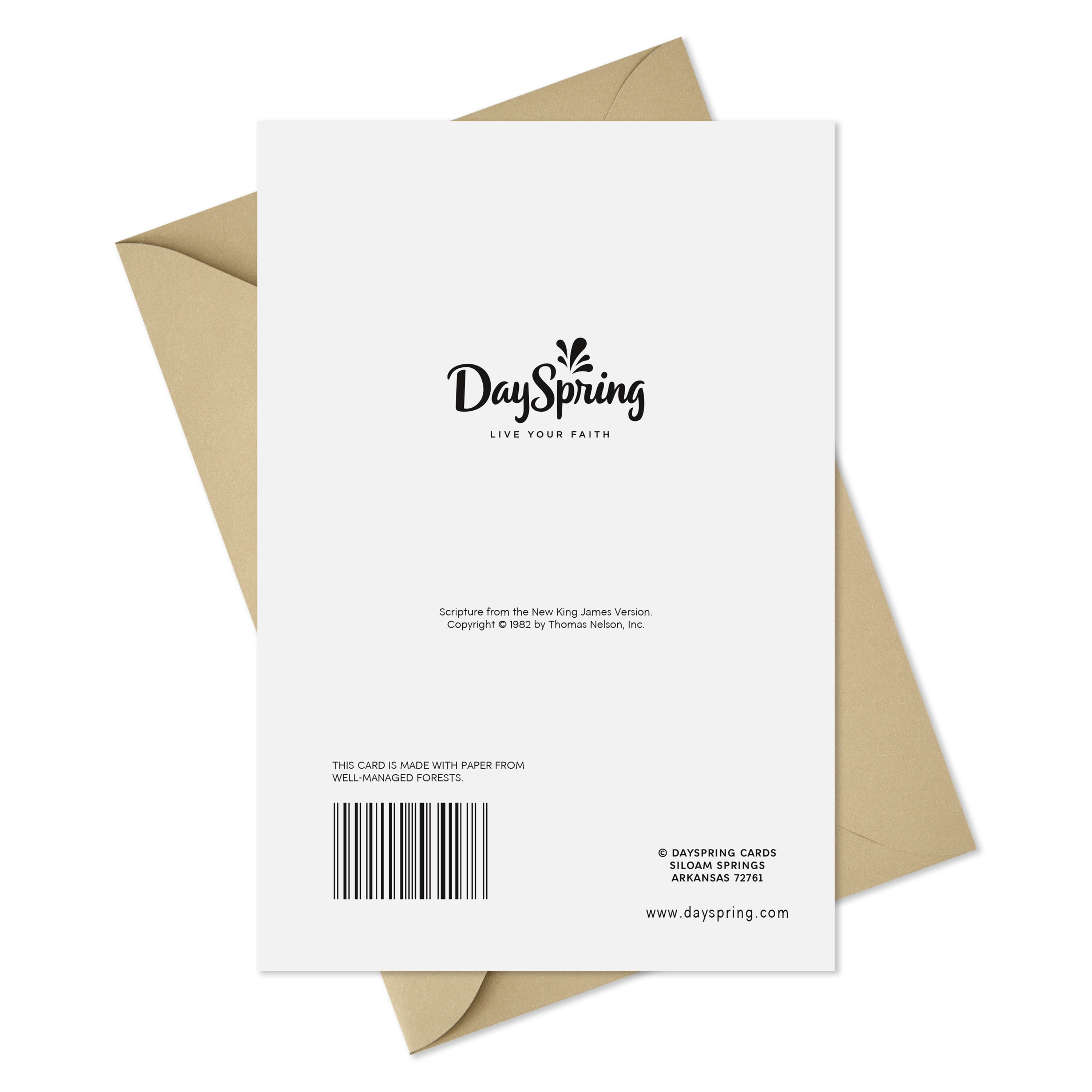 DaySpring Clergy Appreciation Card (Your Faithful Service to God), 1 Count