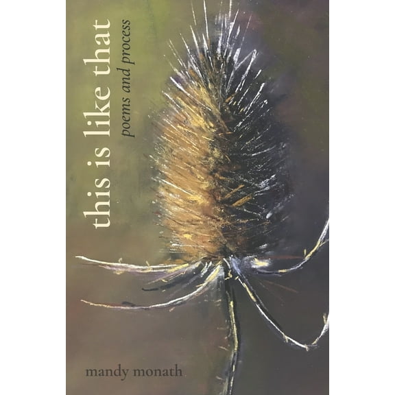 This Is Like That: Poems and Process (Paperback)