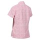 thumbnail image 4 of Regatta - Blusa Mindano VII Estampado Ditsy de Manga Corta para Mujer (Fruta Paloma), 4 of 6